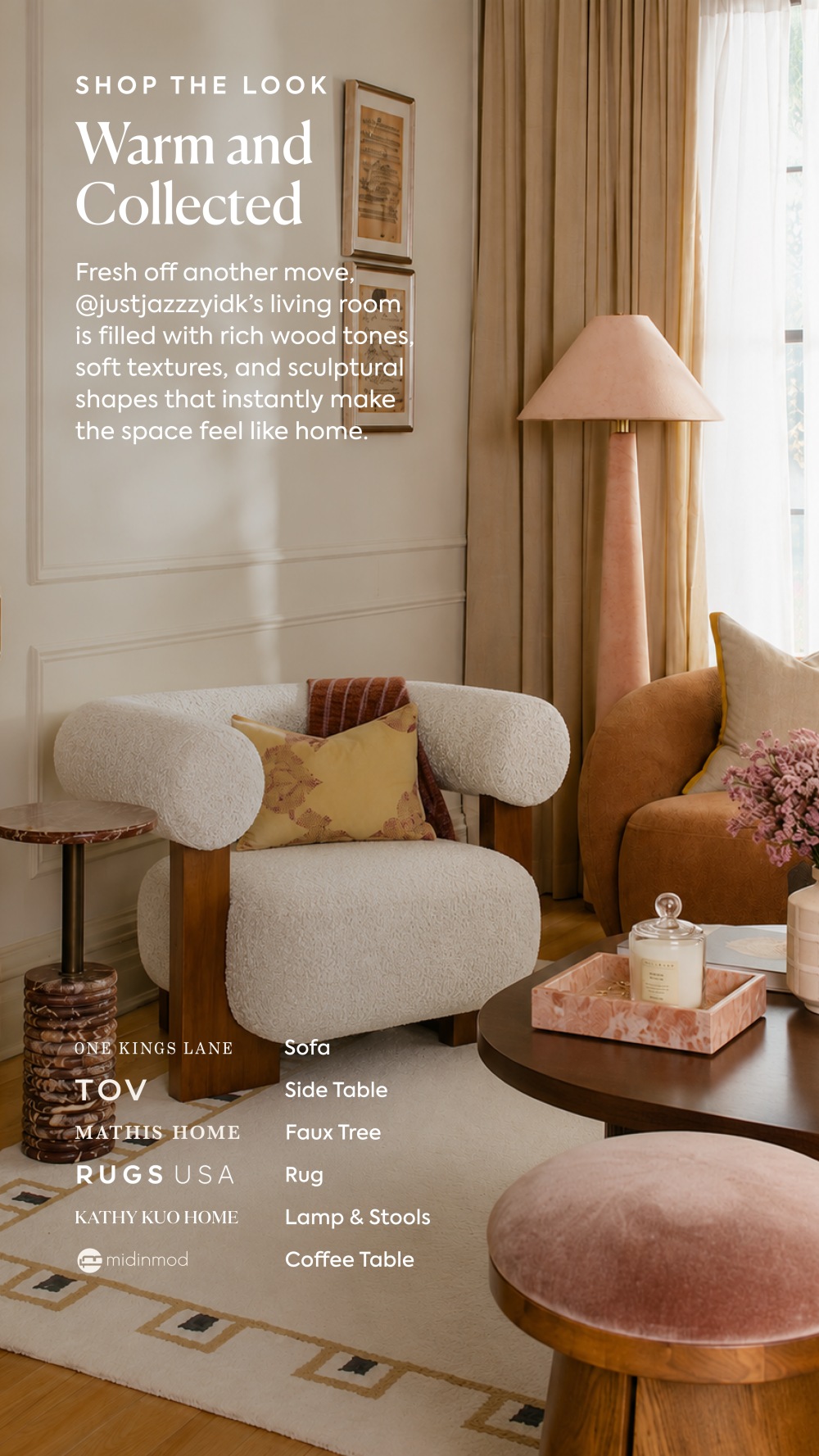 Organic Modern Living Room Ideas with JUSTJAZZZYIDK | Furniture.com